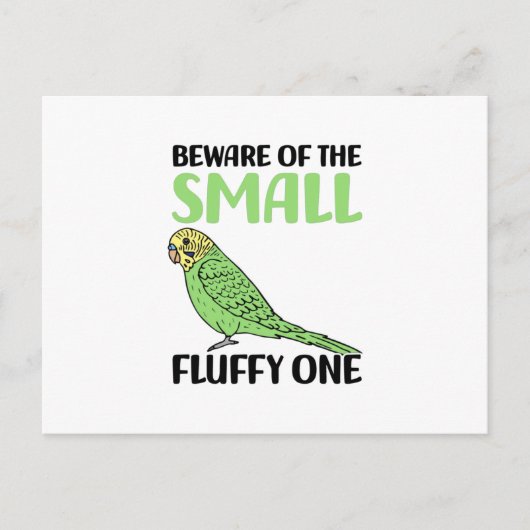 budgie ポストカード (正面)