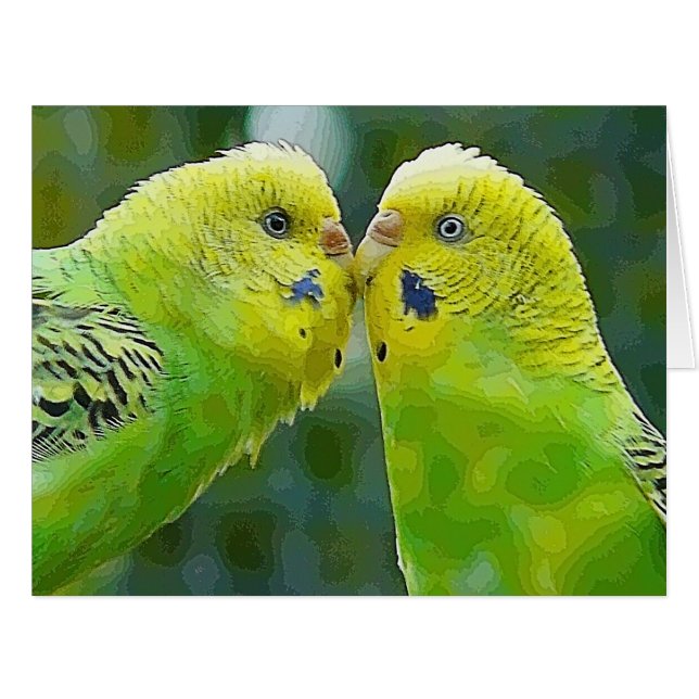 Budgie_2015_0604 (正面横)