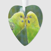 Budgie_2015_0604 オーナメント (正面)
