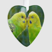 Budgie_2015_0604 オーナメント (正面)