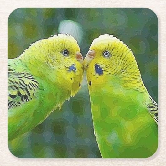 Budgie_2015_0604 スクエアペーパーコースター (正面)