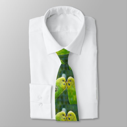 Budgie_2015_0604 ネクタイ (タイ)