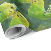 Budgie_2015_0604 ラッピングペーパー (ロールコーナー)