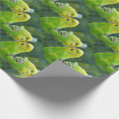 Budgie_2015_0604 ラッピングペーパー (角)