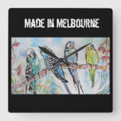 Budgie Budgerigar Bird Made In Melbourne Birds スクエア壁時計 (正面)