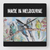 Budgie Budgerigar Bird Made In Melbourne Birds スクエア壁時計 (正面)