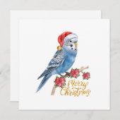 Budgie Christmas Card シーズンカード (正面/裏面)