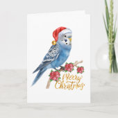Budgie Christmas Card シーズンカード (正面)