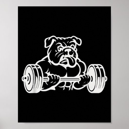Buff Strong Bull Dog Lifting Weights  ポスター (正面)