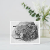 Buffalo ポストカード (スタンド正面)