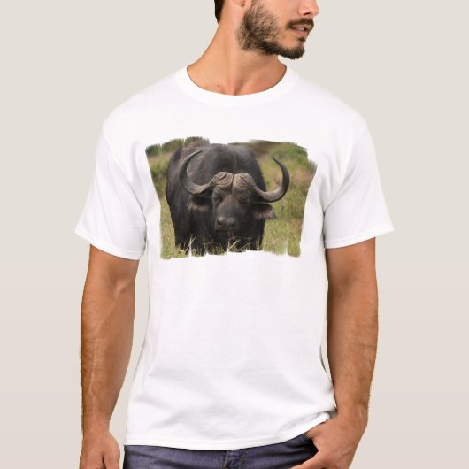buffalo-15.jpg tシャツ (正面)