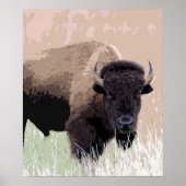 Buffalo / Bison ポスター (正面)