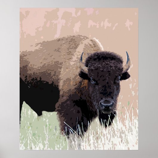 Buffalo / Bison ポスター (正面)