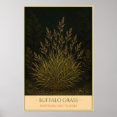 Buffalo Grass ポスター (正面)