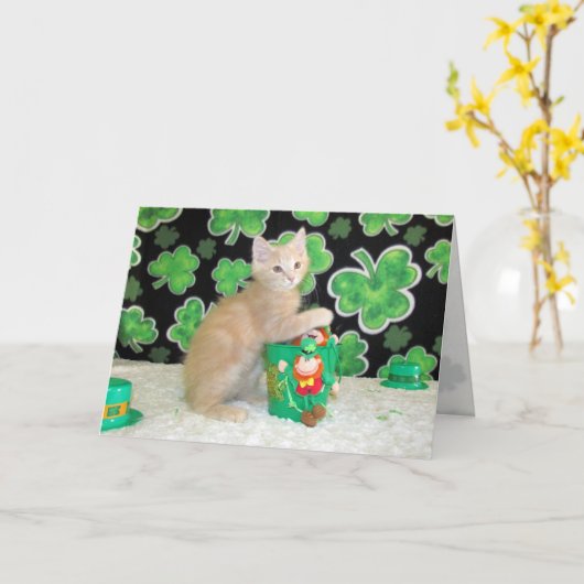Buffington The Cat - St. Patrick's Day Card カード (黄色い花)