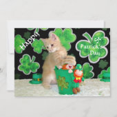 Buffington's St. Patrick's Day Flat Card - Cat (正面)
