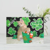 Buffington's St. Patrick's Day Flat Card - Cat (スタンド正面)