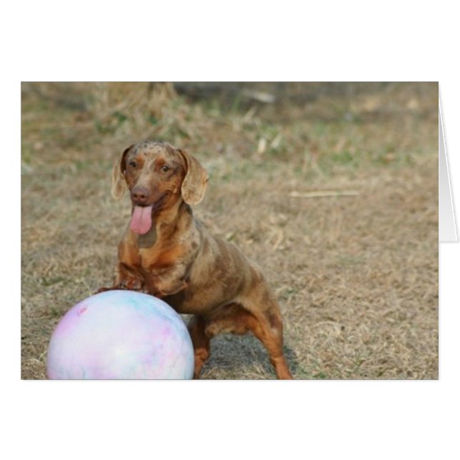 Buford 1 (正面横)