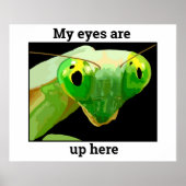 Bug 2 ポスター (正面)