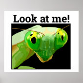 BUG 3 ポスター (正面)