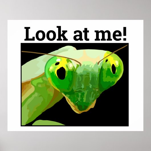 BUG 3 ポスター (正面)