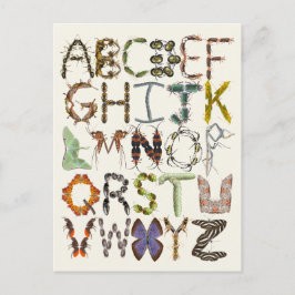 Bug Alphabet – 昆虫をテーマにしたキッズアート ポストカード
