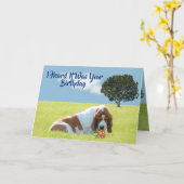 Bug & Basset On & おもしろい Cute Birthday Card カード (黄色い花)