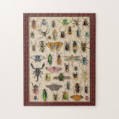 Bug Collection Insects Fun Entomology ジグソーパズル (縦)