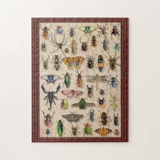 Bug Collection Insects Fun Entomology ジグソーパズル (縦)