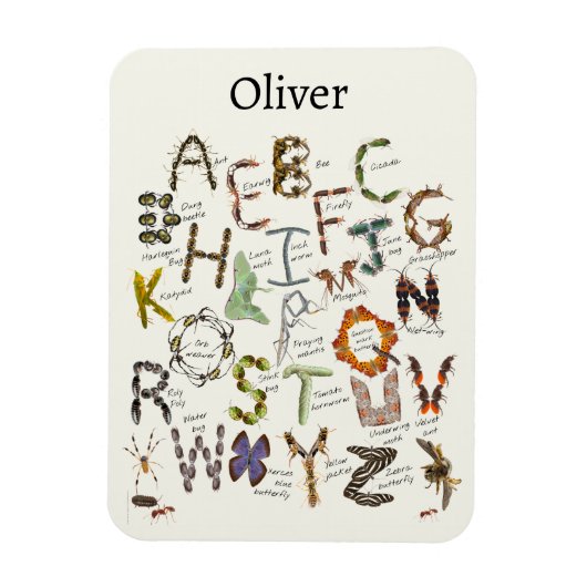 Bug Decor – バグアルファベット子供へ マグネット (縦)