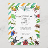 Bug Insect Boy Birthday Invitation 招待状 (正面/裏面)