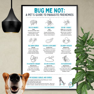 Bug Me Not - A Pet’s Guide to Parasite Frenemies ポスター