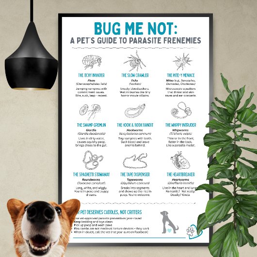 Bug Me Not - A Pet’s Guide to Parasite Frenemies ポスター