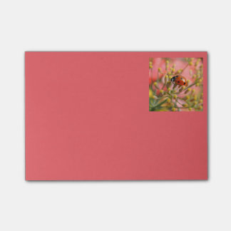 Bug Notes女性 ポストイット