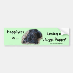 "Buggsの子犬のバンパーステッカーはカスタマイズ バンパーステッカー