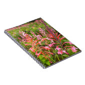 Bugle Lily (Watsonia)フラワーイースタンケープ ノートブック (右側)