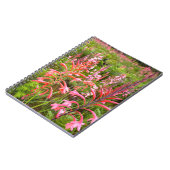 Bugle Lily (Watsonia)フラワーイースタンケープ ノートブック (左側)