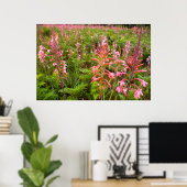 Bugle Lily (Watsonia)フラワーイースタンケープ ポスター (ホームオフィス)