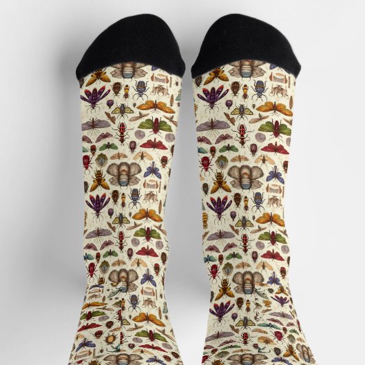 Bugs and Oddities Socks – Unique Insect ソックス (上部)