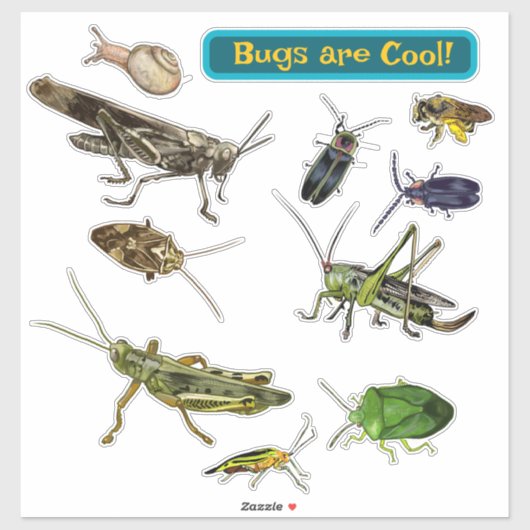 Bugs are Cool! Insects シール (シート)