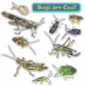 Bugs are Cool! Insects シール (正面)