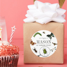 Bugs & Insects Vintage Boy Birthday ラウンドシール