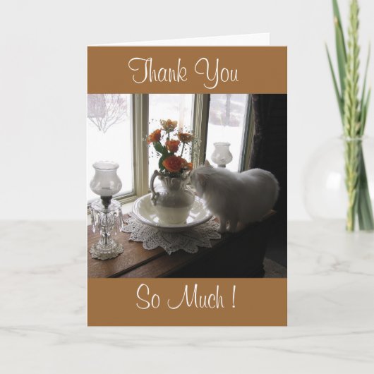 Bugsyかオレンジバラありがとう サンキューカード (正面)