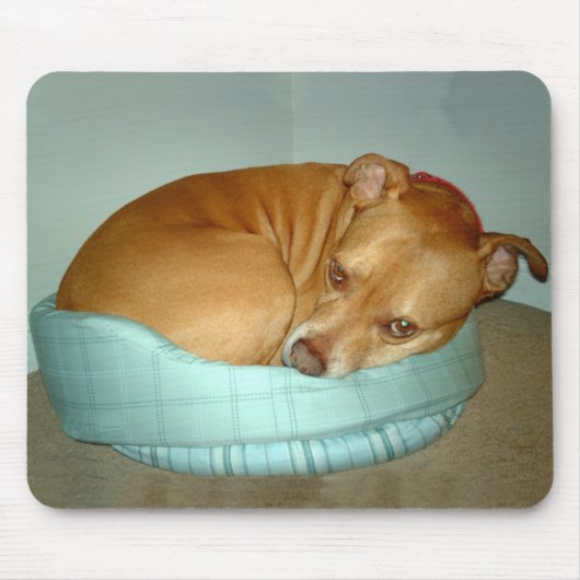 Bugsy マウスパッド (正面)