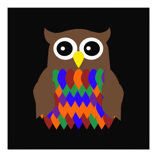 Búho de colores フォトプリント (正面)