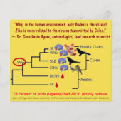 Bulbulbs、Wolbachia & Culex（両面） by RoseWrites チラシ (裏面)