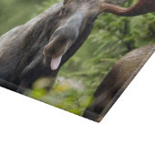 Bullのおもしろいなアメリカヘラジカ カッティングボード (角)