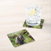 Bullのおもしろいなアメリカヘラジカ スクエアペーパーコースター (インサイチュ)