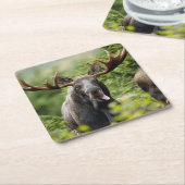 Bullのおもしろいなアメリカヘラジカ スクエアペーパーコースター (アングル)