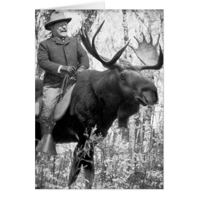 Bullのアメリカヘラジカに乗っているTeddy Roosevelt (正面)